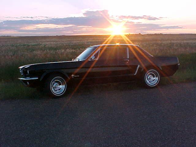 The "Chewy's Stang"